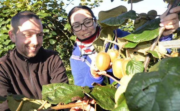 Jairo Fernández y Cristina Lebrato, trabajadores de la finca La Isla en Soto del Barco. 