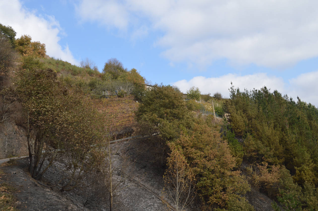 Controlado el incendio declarado esta madrugada cerca de Arayón y Amago