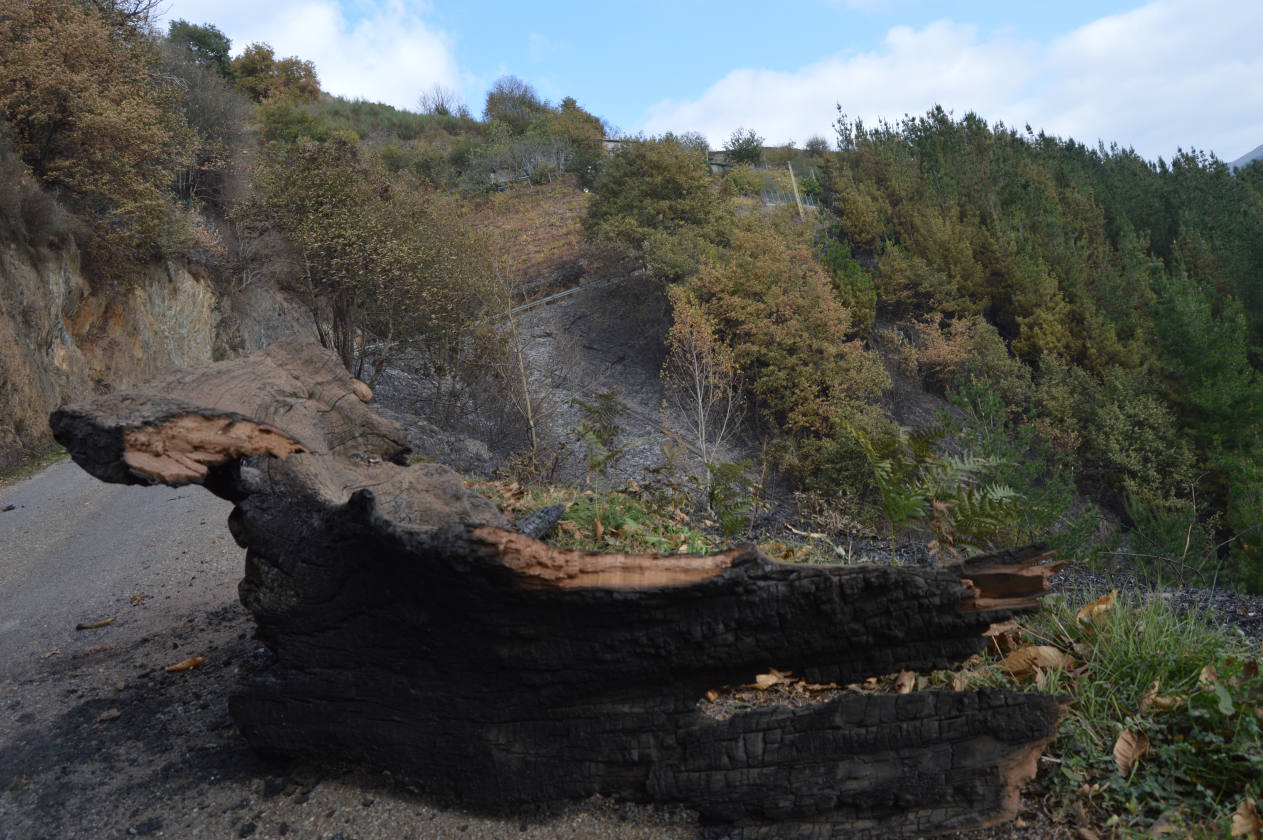 Controlado el incendio declarado esta madrugada cerca de Arayón y Amago