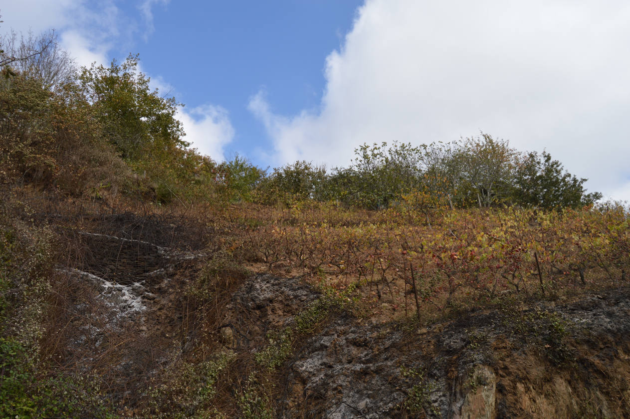 Controlado el incendio declarado esta madrugada cerca de Arayón y Amago