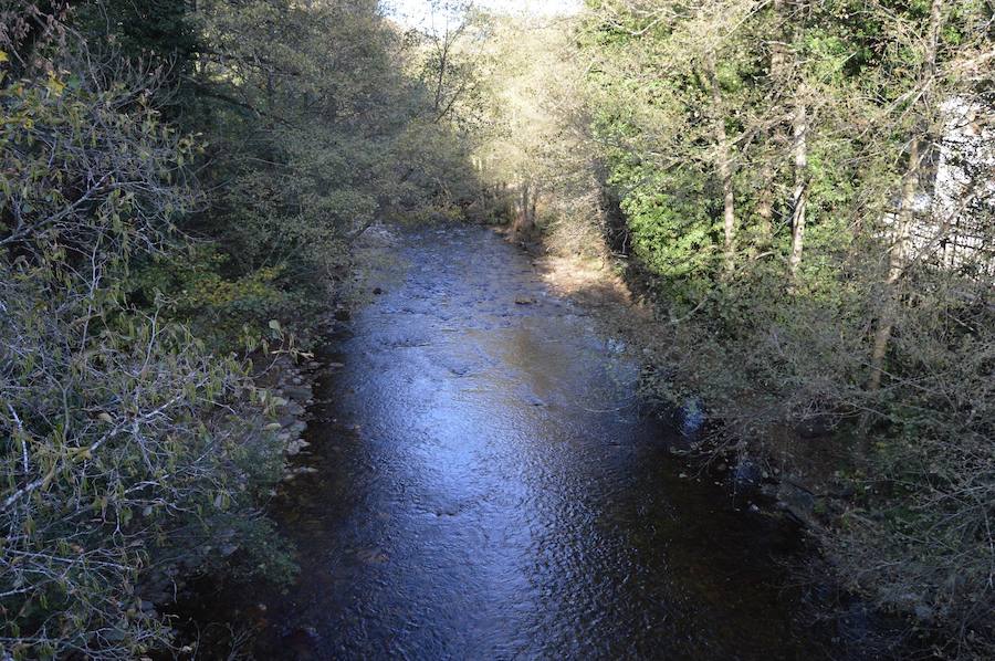Los estragos de la sequía en Asturias