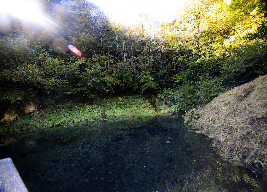 Los estragos de la sequía en Asturias