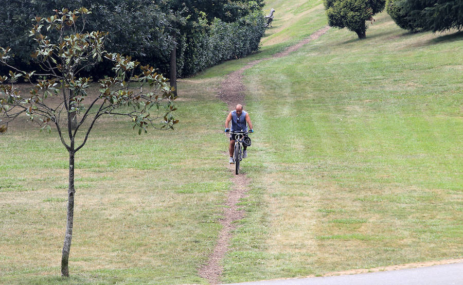 Los estragos de la sequía en Asturias