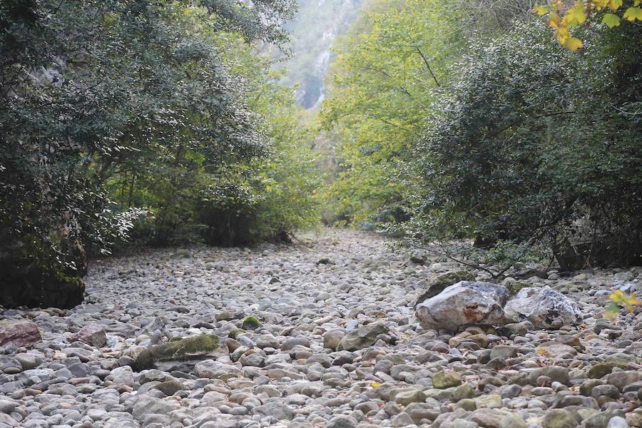 Los estragos de la sequía en Asturias