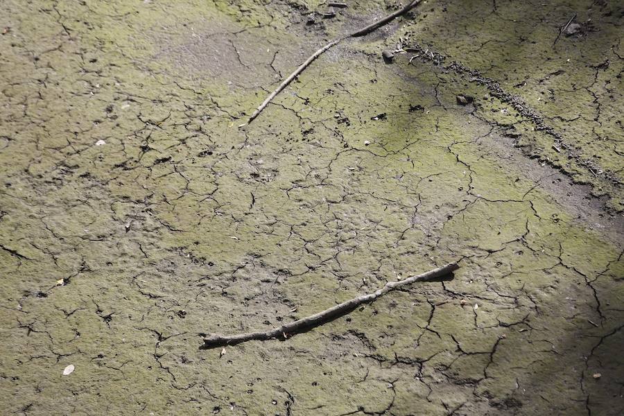 Los estragos de la sequía en Asturias