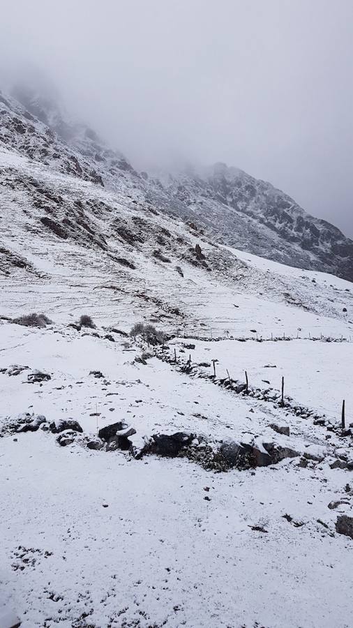 Las primeras nieves llegan a Asturias