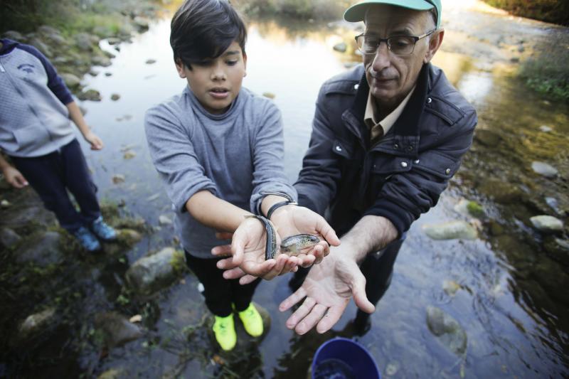 Escolares sueltan 5.000 alevines de trucha en el Nalón