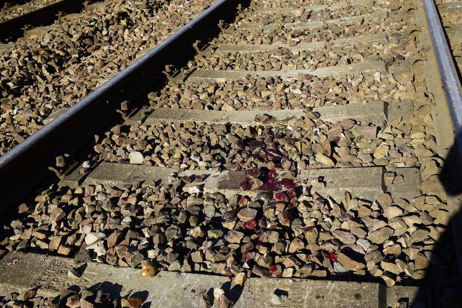 Fallece un hombre de 90 años tras ser arrollado por un tren en el apeadero de Las Segadas