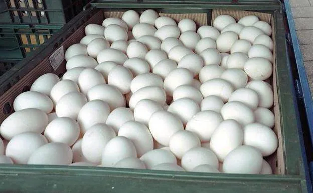 La Asociación del Huevo en Italia alerta de la falta de huevos en el país