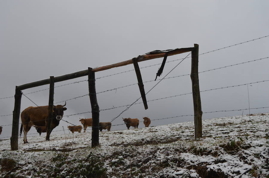 La nieve complica el tráfico en los puertos asturianos