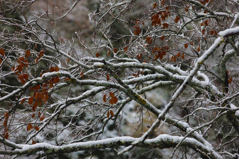 La nieve complica el tráfico en los puertos asturianos