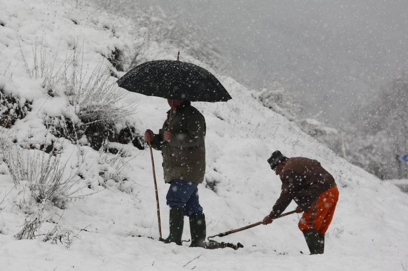 La nieve complica el tráfico en los puertos asturianos