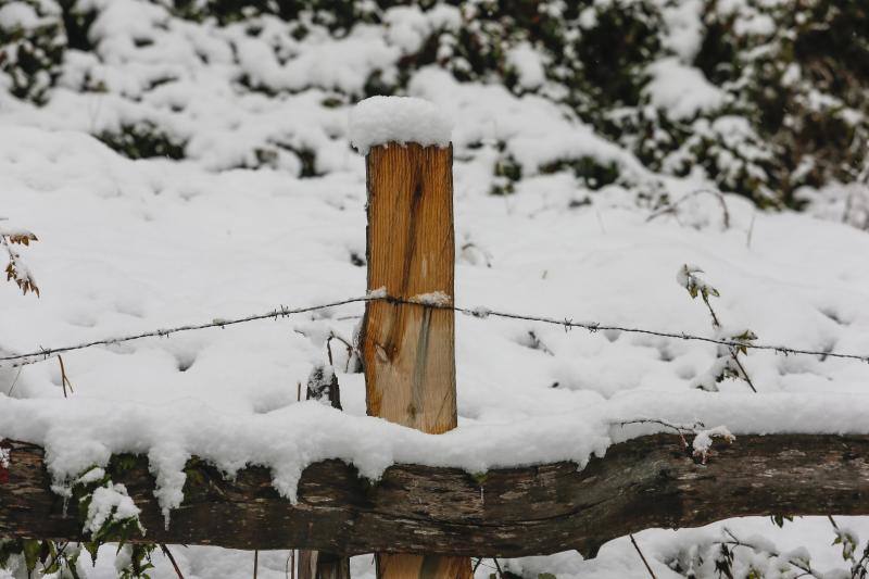 La nieve complica el tráfico en los puertos asturianos