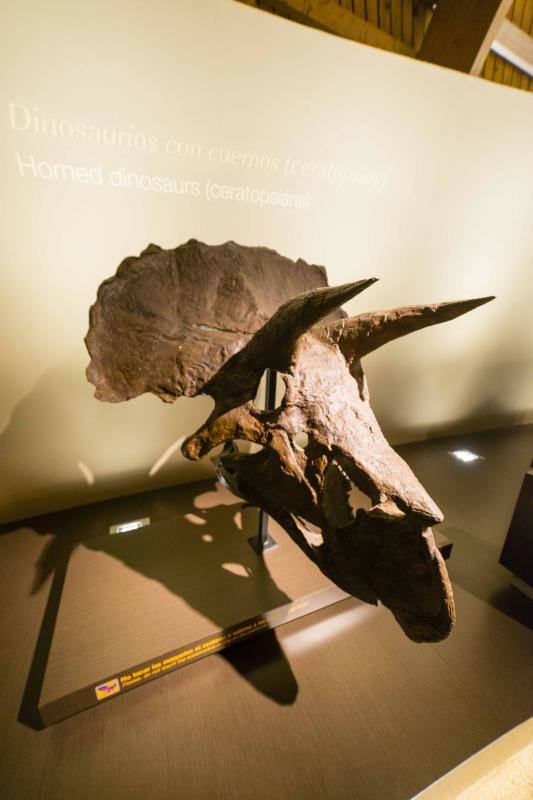 El MUJA amplía su colección