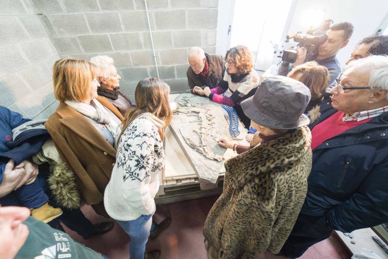 El MUJA amplía su colección