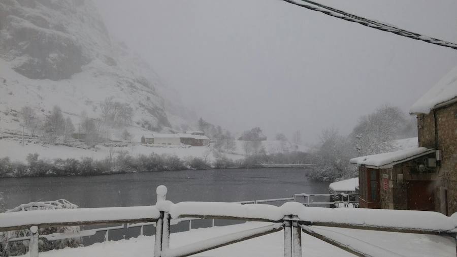 La nieve cubre de blanco Asturias