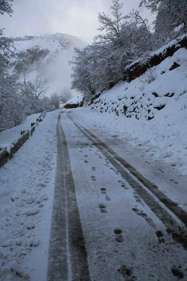 El Principado, cubierto por la nieve