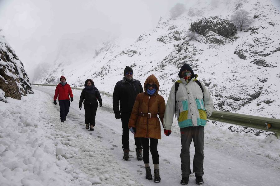 El Principado, cubierto por la nieve