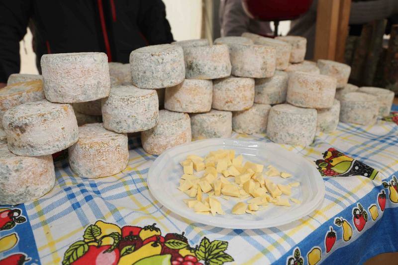 Calidad y frío gélido en el Certamen de Queso de los Beyos en Ponga