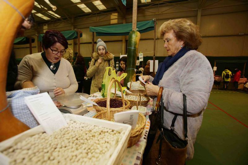 Las fabes reinan en Colunga
