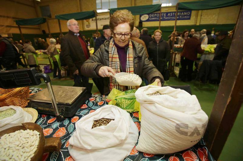 Las fabes reinan en Colunga