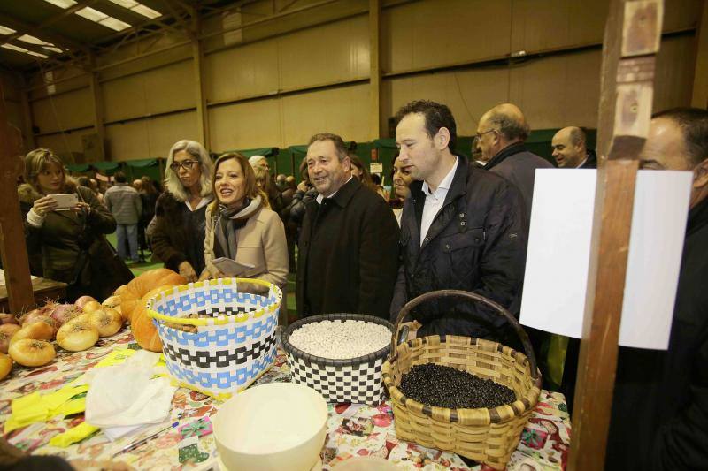 Las fabes reinan en Colunga