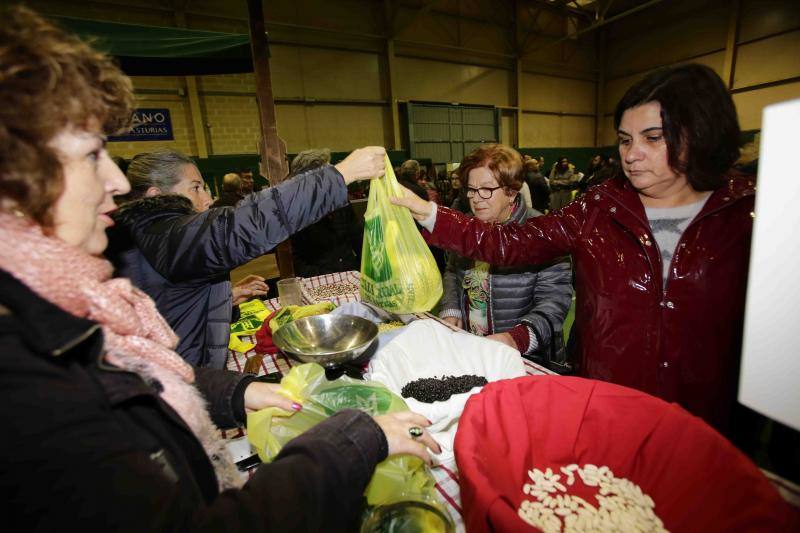 Las fabes reinan en Colunga