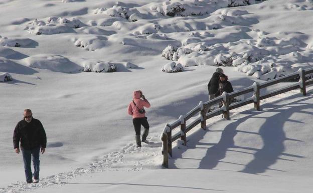 Un grupo de turistas disfruta de la nieve en Los Lagos.