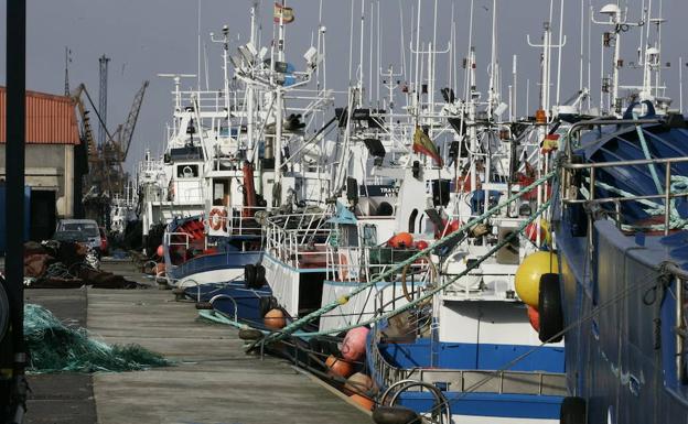 Barcos pesqueros en el puerto de Avilés.