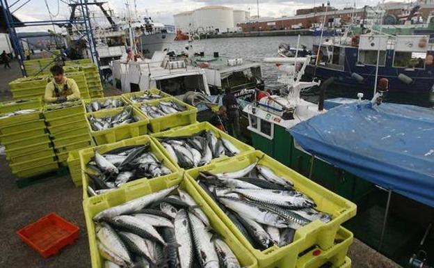 Los ministros de Pesca rechazan la propuesta inicial de cuotas para 2018