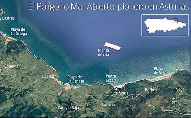 Las «exigencias surrealistas» del Principado paralizan la mejillonera