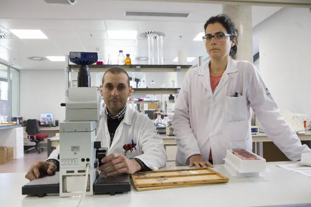 Iván Fernández Vega y María Daniela Corte, en el laboratorio del HUCA donde trabajan. 