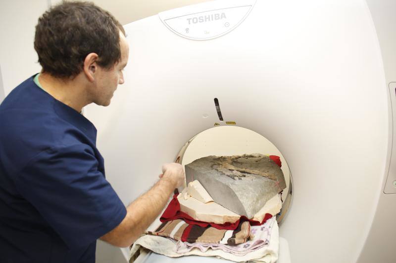 Un equipo de científicos del Museo del Jurásico de Asturias se han desplazado a un hospital veterinario de Gijón para escanear huesos de dinosaurios fosilizados. El objetivo es hacer una reconstrucción en tres dimensiones de los mismos, así como estudiar la posibilidad de sacar los restos de las rocas. 
