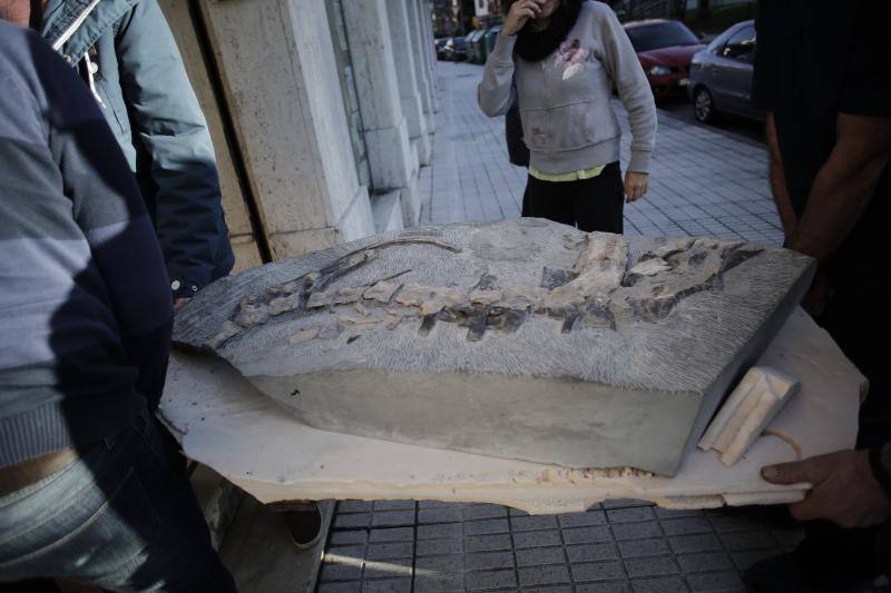 Un equipo de científicos del Museo del Jurásico de Asturias se han desplazado a un hospital veterinario de Gijón para escanear huesos de dinosaurios fosilizados. El objetivo es hacer una reconstrucción en tres dimensiones de los mismos, así como estudiar la posibilidad de sacar los restos de las rocas. 