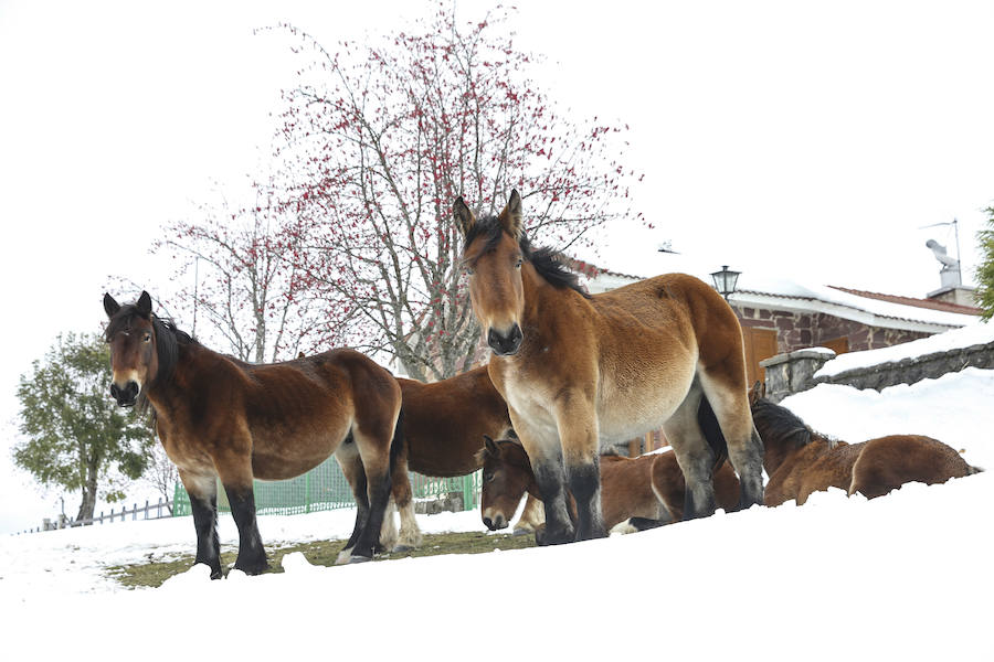 El buen tiempo ha sido el protagonista en los primeros pasos de la temporada invernal. El otoño trajo las nieves, que esperan quedarse y cumplir temporada. Asturias es una estampa en cualquier estación. 