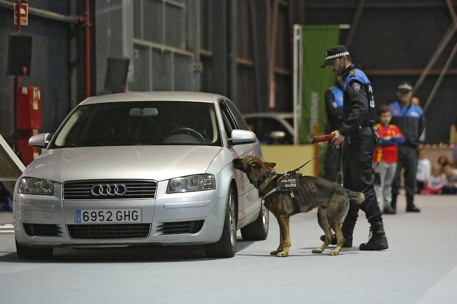 Diversión infantil y exhibición canina de la Policía Local en Mercaplana