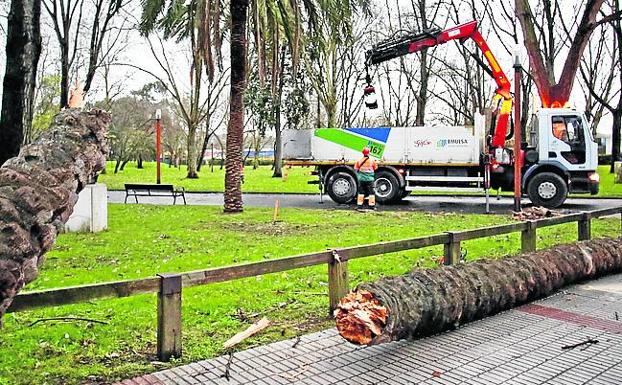 Gijón. Operarios de Emulsa retiran los restos de una palmera en el parque de los Hermanos Castro. 