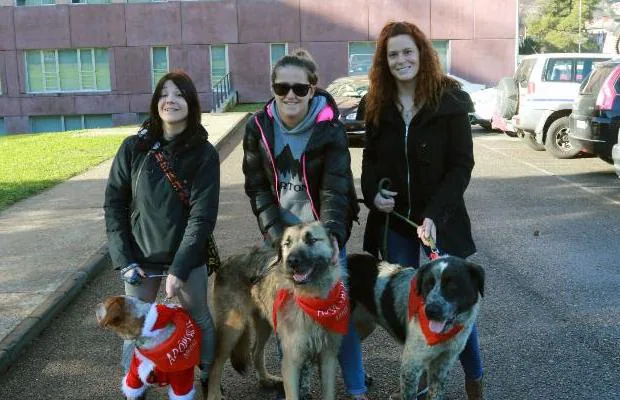 Tres voluntarias, con tres de los canes que ahora viven en la perrera y para los que se busca un hogar. 
