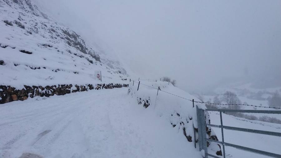 El descenso de las temperaturas unido a las precipitaciones registradas en las últimas horas dejan un manto blanco en las zonas altas del Principado