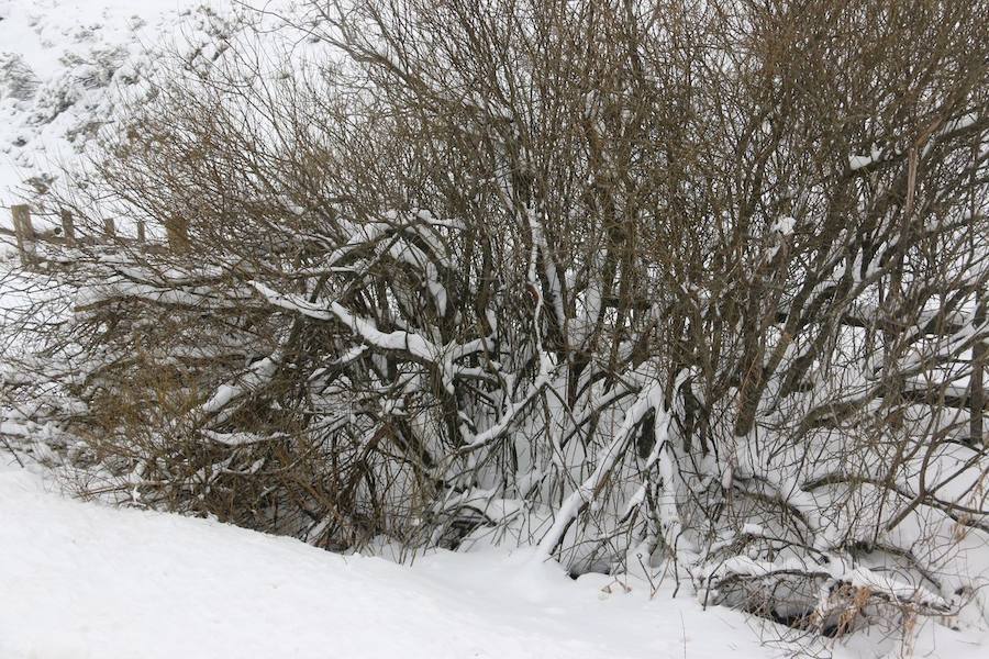 La lluvia y las precipitaciones ponen a Asturias en alerta amarilla