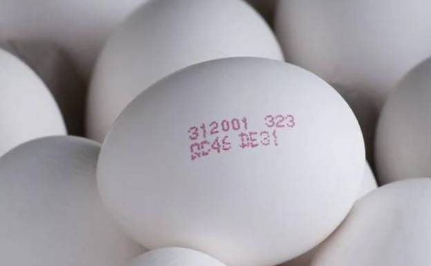 Lidl renuncia a vender huevos de gallinas enjauladas