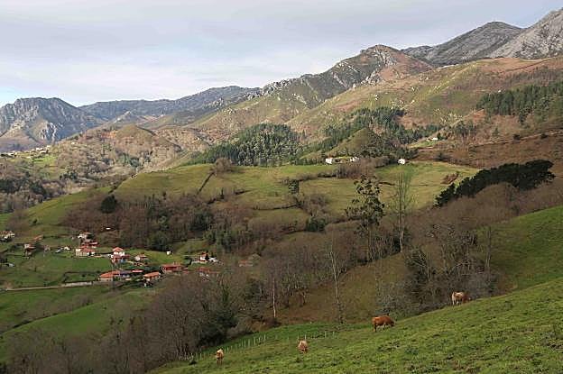 Vistas de la zona parraguesa del Sueve, desde la localidad de La Salgar. 