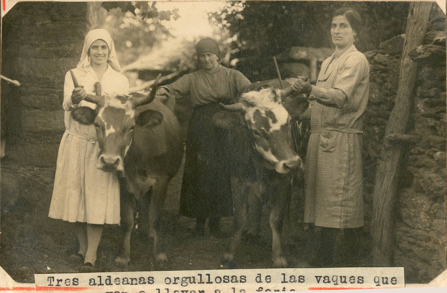 Este archivo ha ido adquiriéndose a lo largo de los últimos diez años, y las últimas 1.682 fotos acaban de ingresar en el museo como donación de un mecenas madrileño