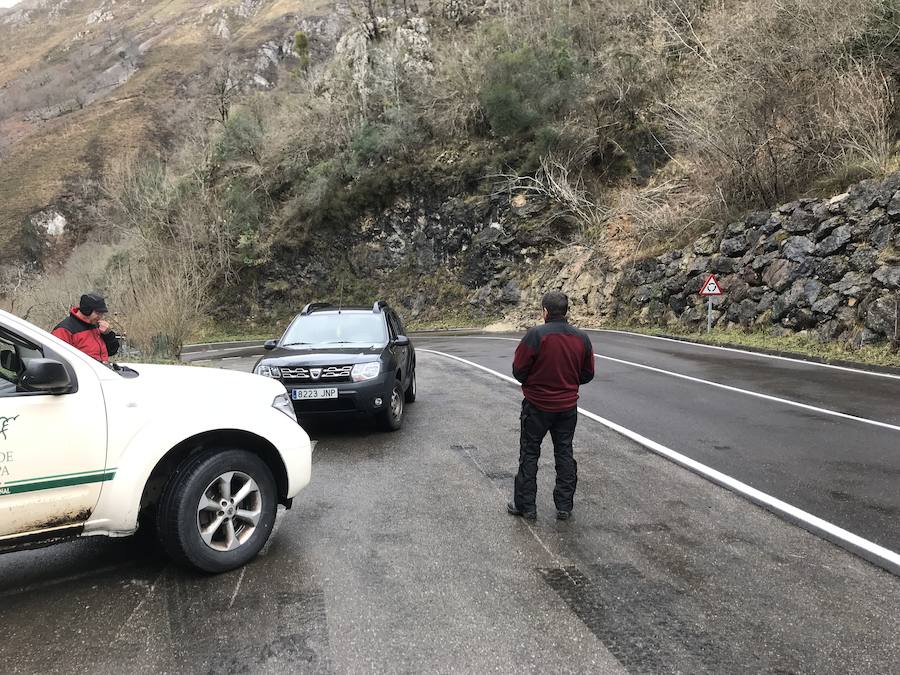 Corte en la carretera de acceso a Los Lagos y paraguas en Covadonga