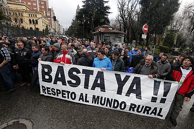 Los ganaderos partieron de la sede de la Consejería de Desarrollo Rural y se concentraron ante la Junta General del Principado. 