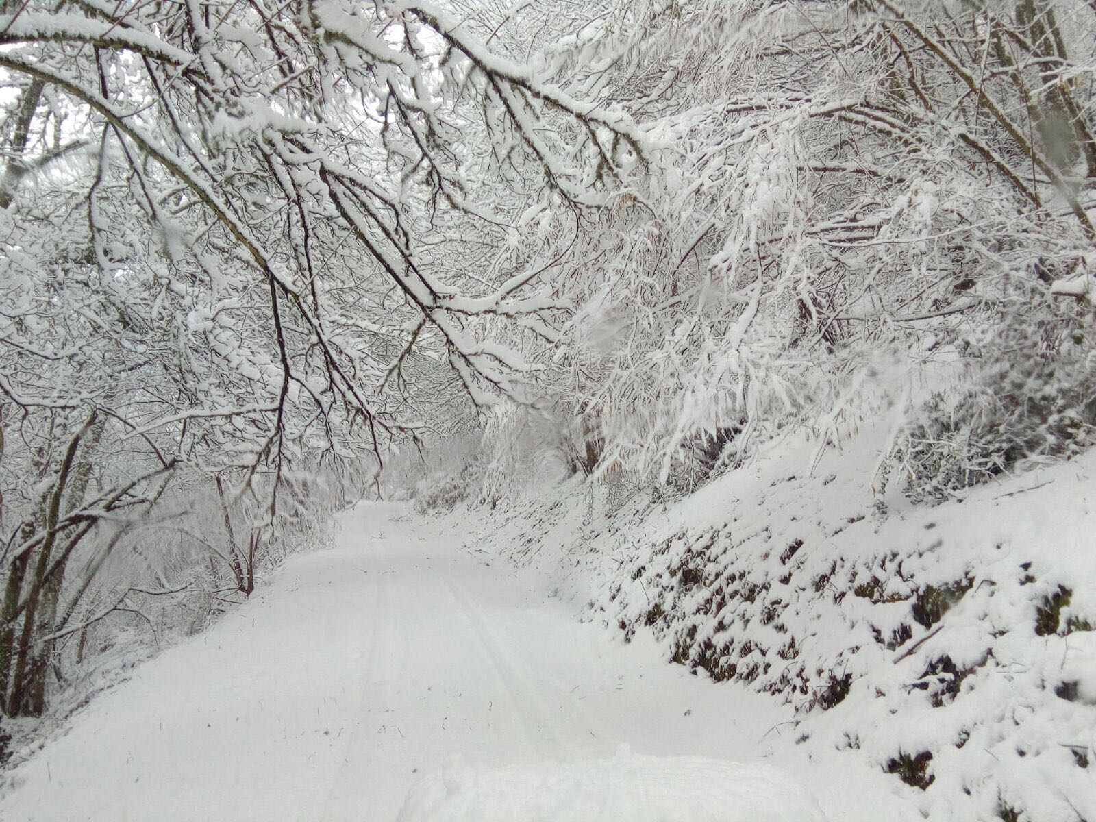 Nieve, frío y lluvia en Asturias