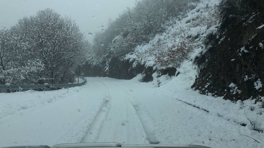 Impresionante nevada en el Occidente de Asturias