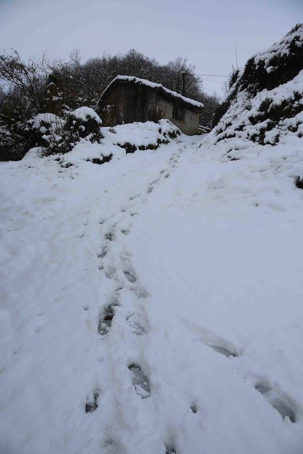 El concejo de Amieva se encuentra cubierto de un manto blanco tras las últimas nevadas, que dejan estas imágenes
