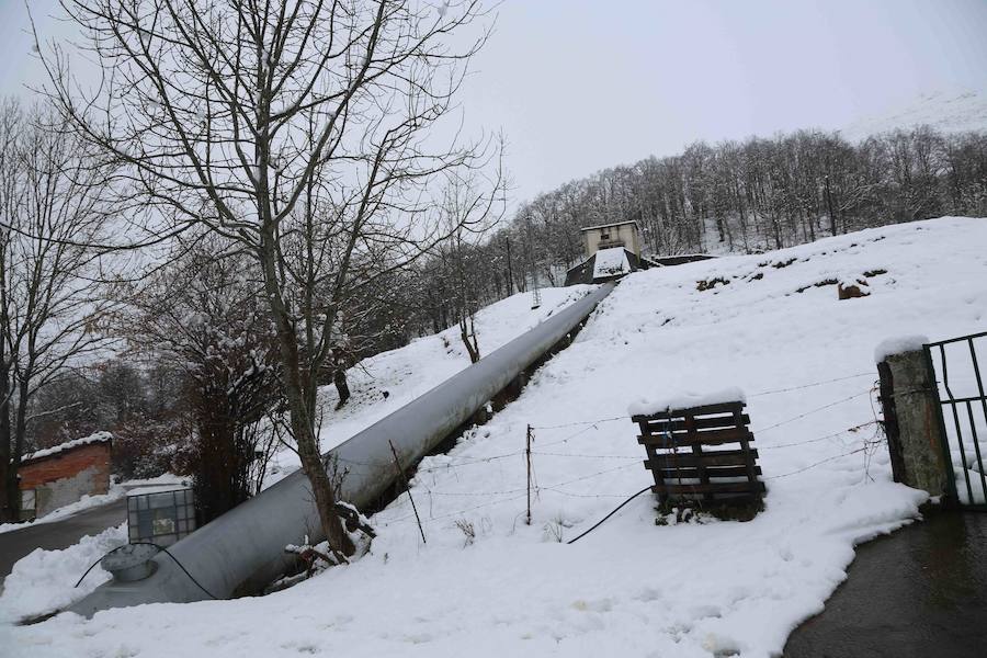 El concejo de Amieva se encuentra cubierto de un manto blanco tras las últimas nevadas, que dejan estas imágenes