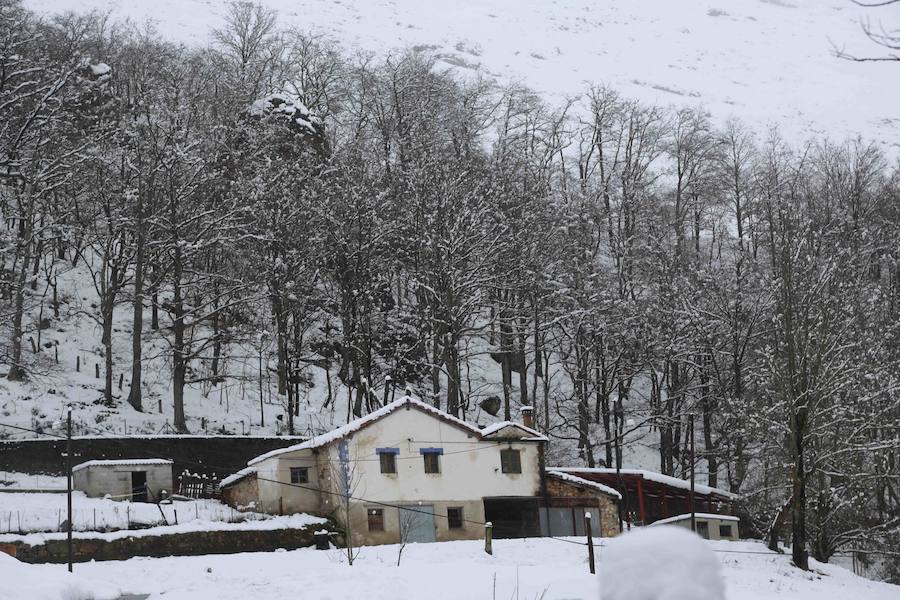 El concejo de Amieva se encuentra cubierto de un manto blanco tras las últimas nevadas, que dejan estas imágenes